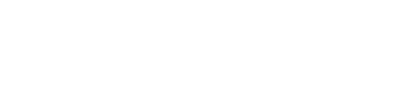 White Rising Team logo